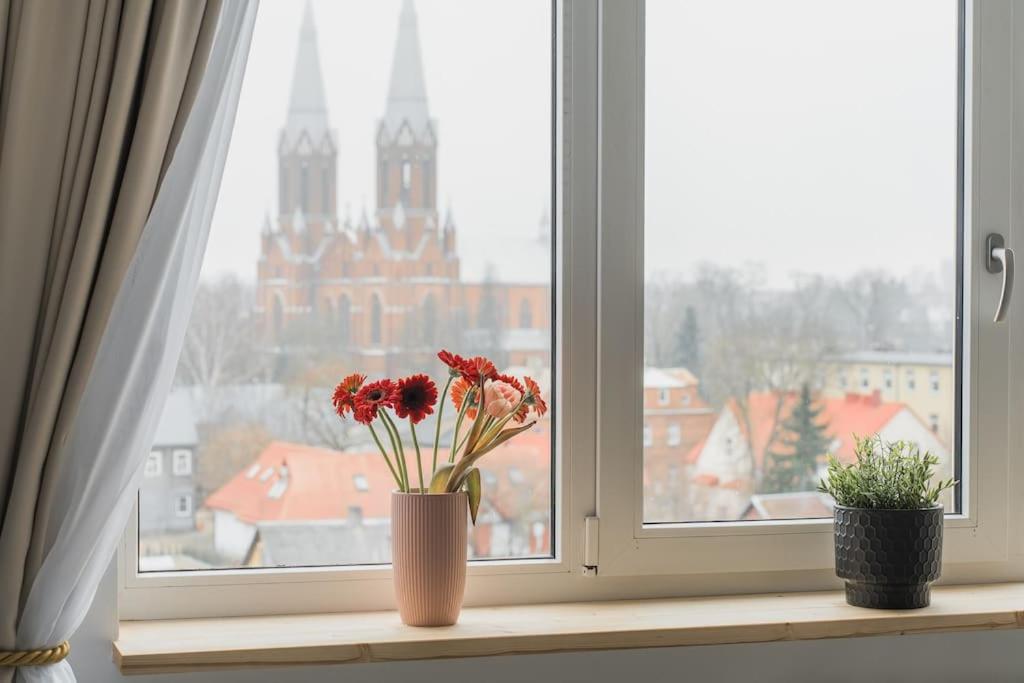 Old Town view Apartment in city center