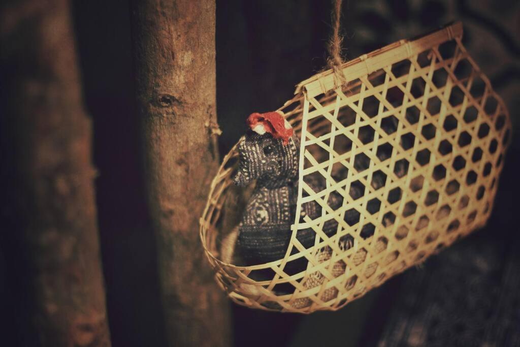 Mountain Dreamer's House * 3 Bedrooms * Bancony