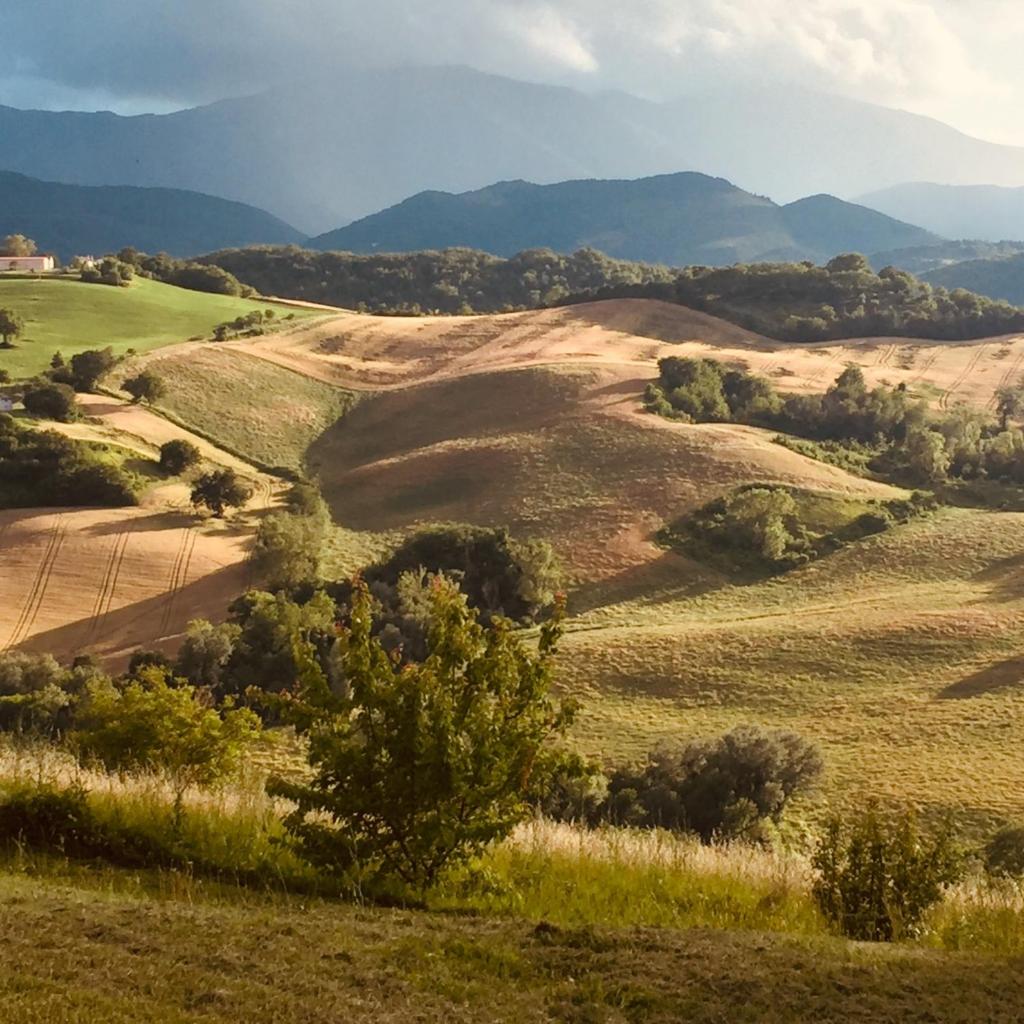 Agriturismo Il Fienile di Cà Battista photo 4