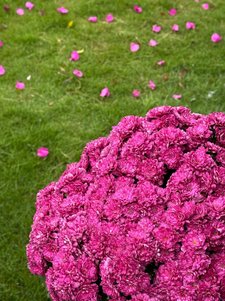 La foret Vân Hoà villa 2