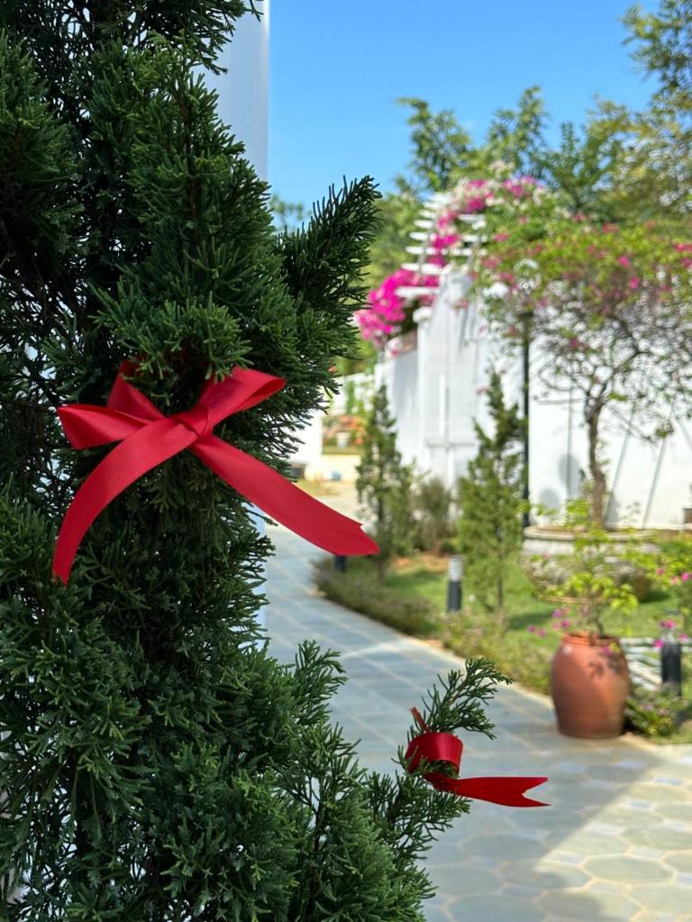 La foret Vân Hoà villa 2