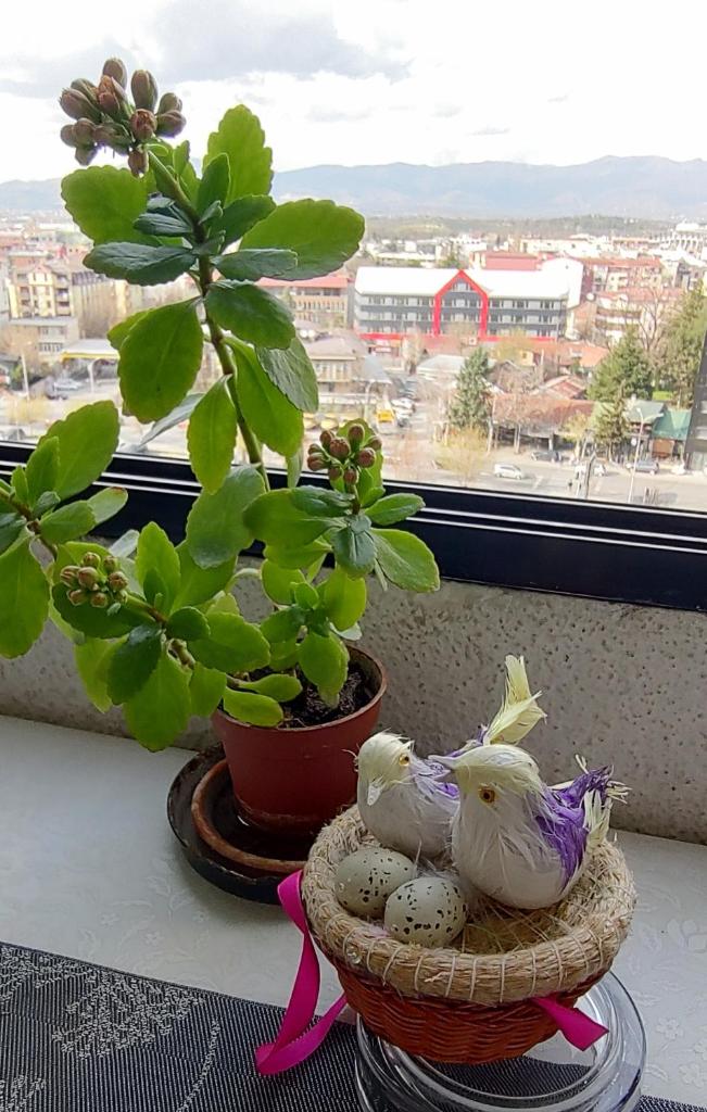 View photo 1
