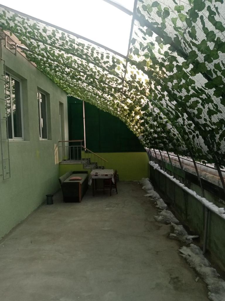 Guest house photo 3