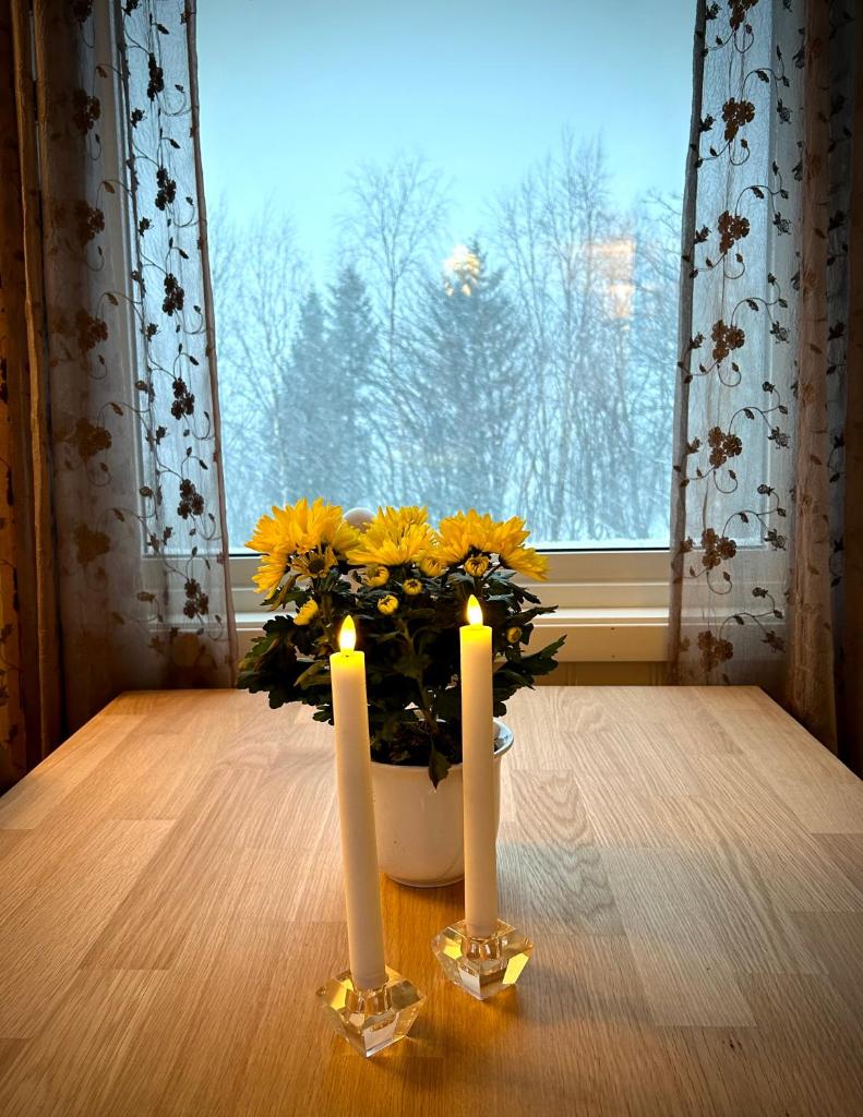 Senja, 2 BR apartment, surrounded by the northern lights and the midnight sun photo 3