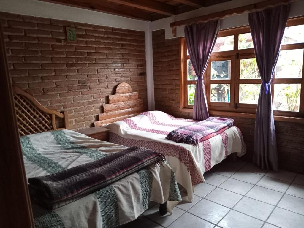 Posada de Los Reyes photo 3