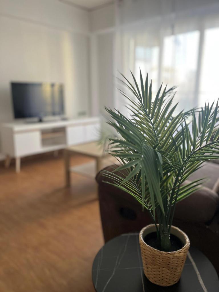 Apartamento a tan solo 100m de la playa SOLO FAMILIAS