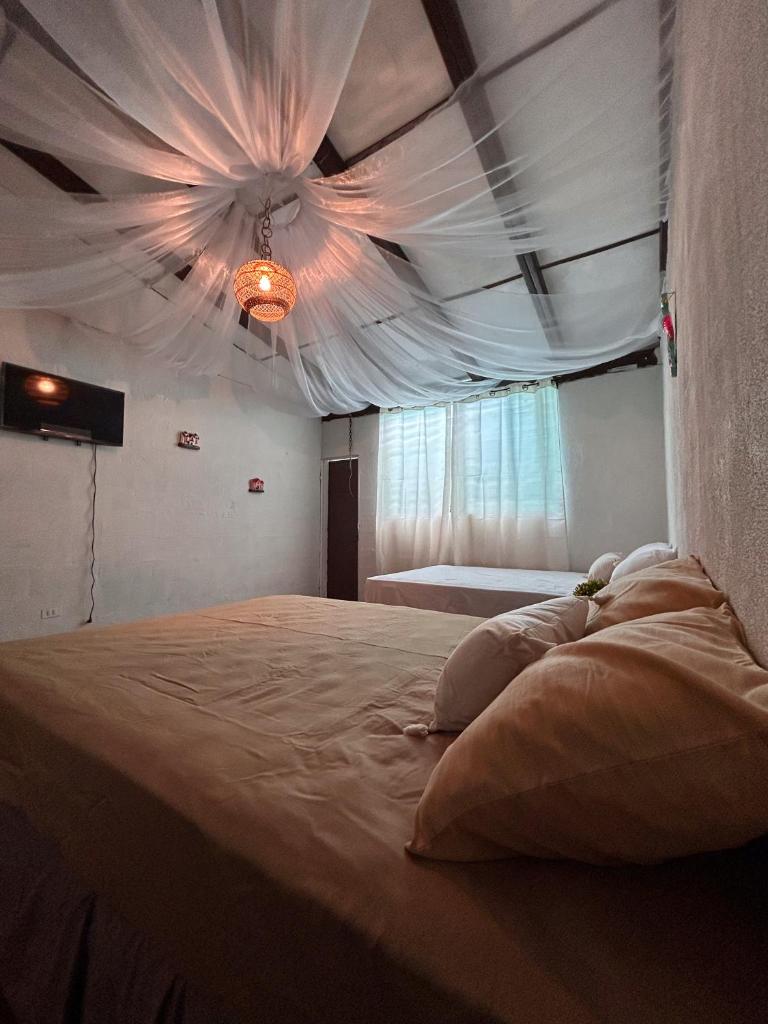 Hostal Lenha photo 4