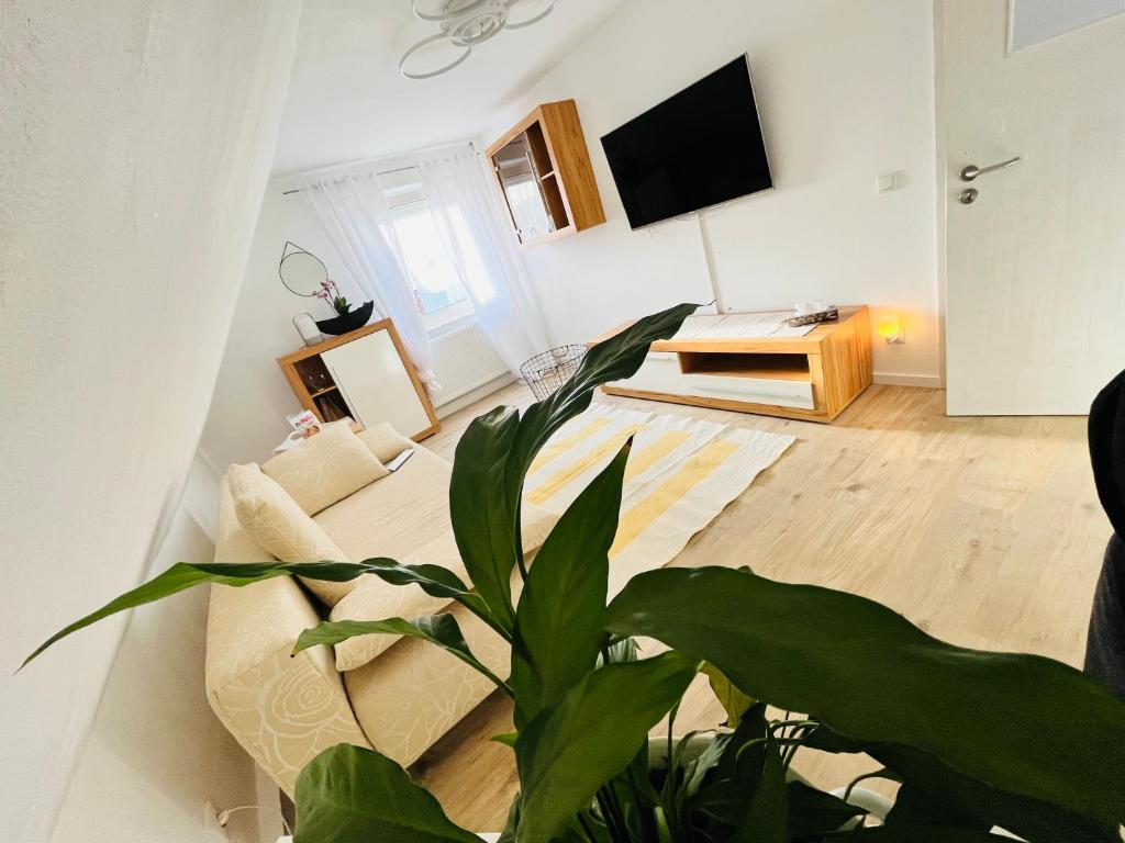 Haus Carolin photo 1