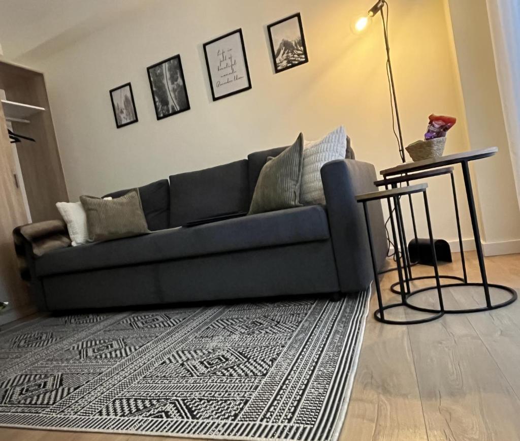Apartamentos Sierra photo 4