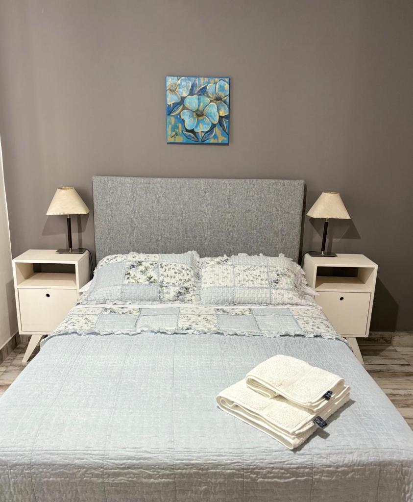 Rioja Center Apartment