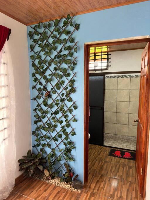 Casita Laguna Azul photo 3