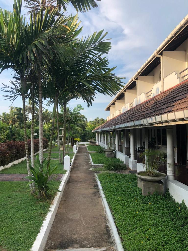 Green Island Nature lodge and Villa photo 3
