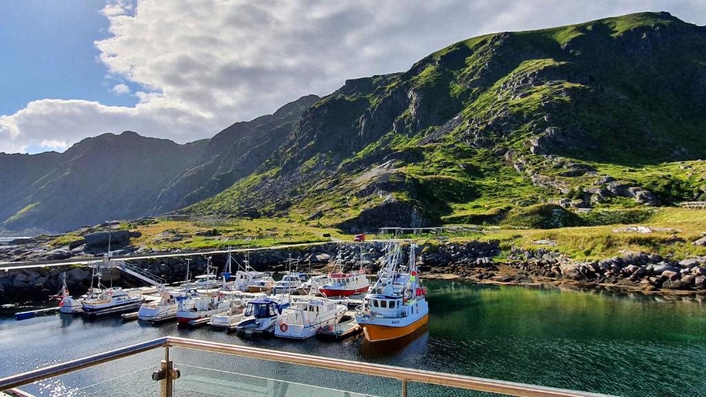 Lofoten Seaside photo 3