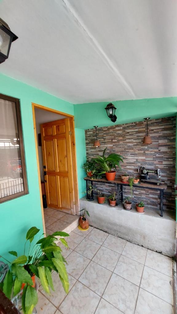 Stereo Tiny House