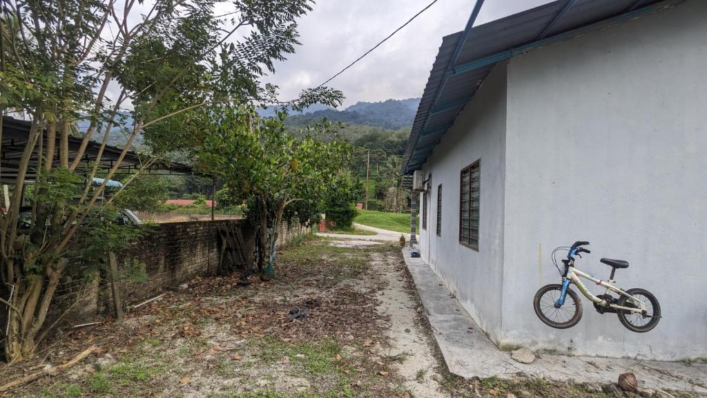 Homestay Dipang photo 3