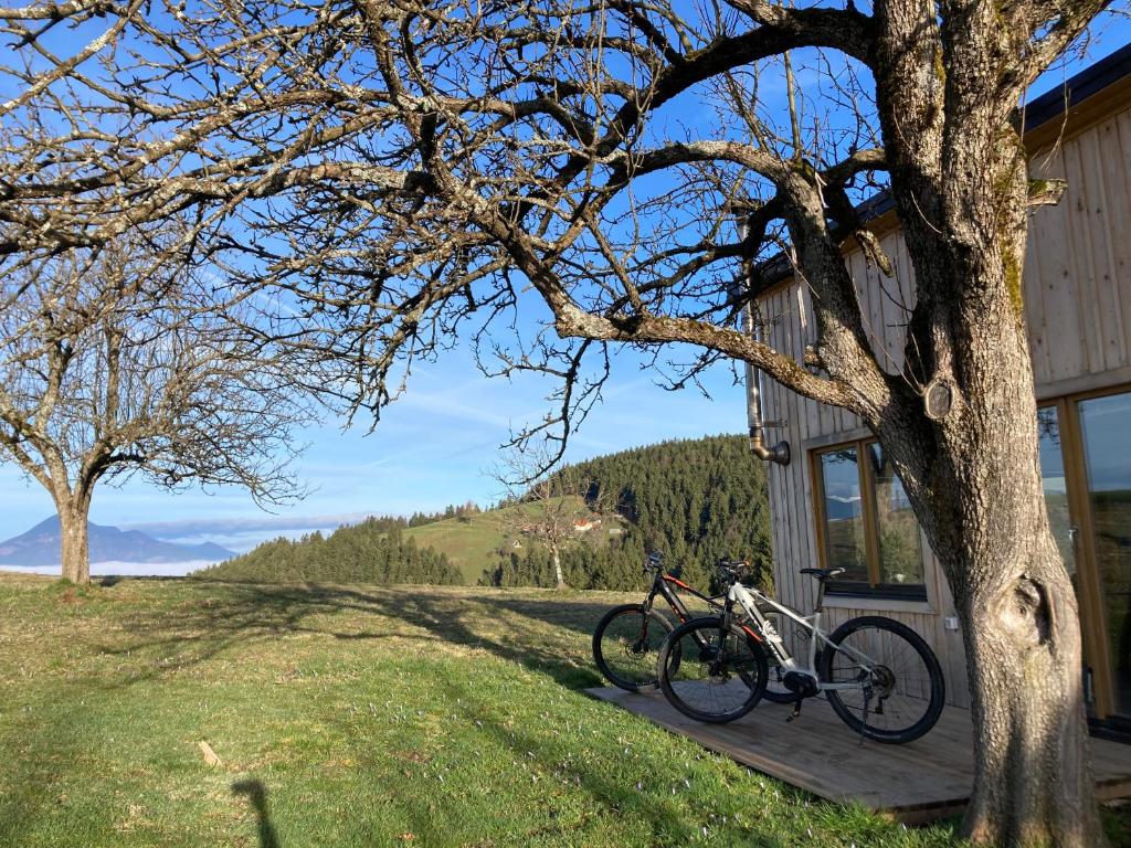 Tiny house photo 2