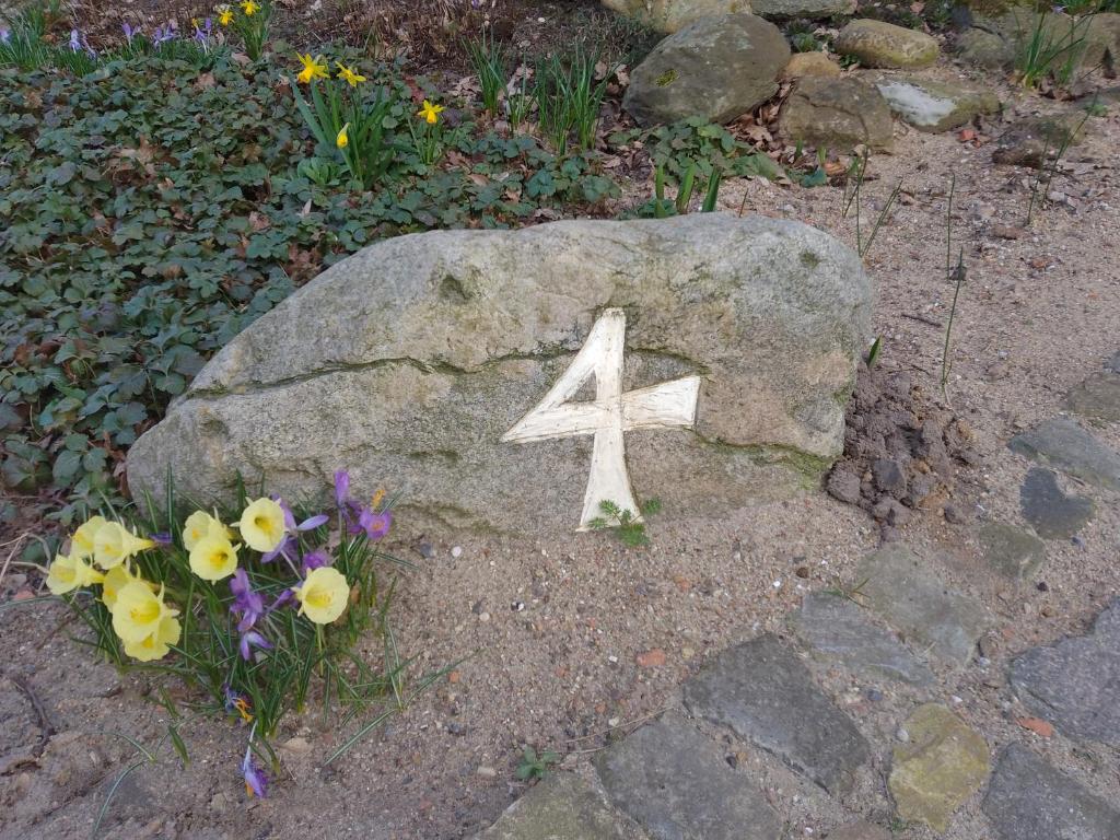 Krötenhof Barförde photo 3