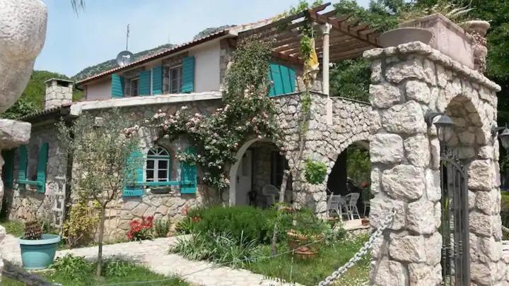 Green Home Dodosi photo 1