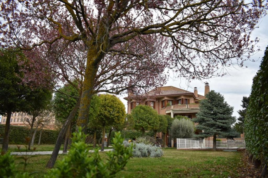 Casa Gilgar Olite