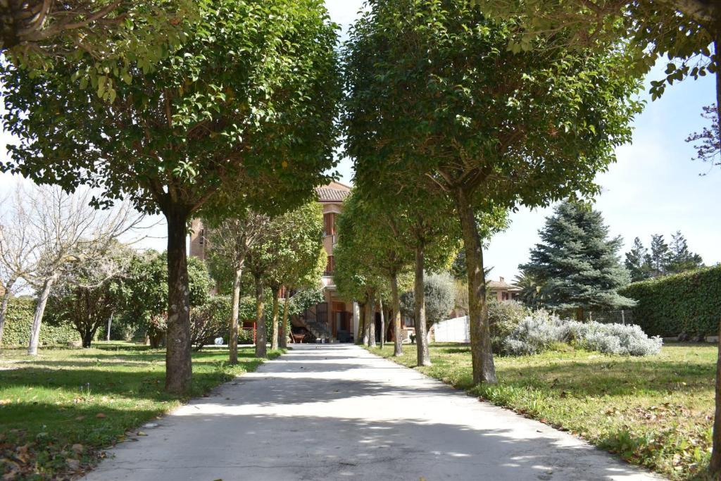 Casa Gilgar Olite photo 3