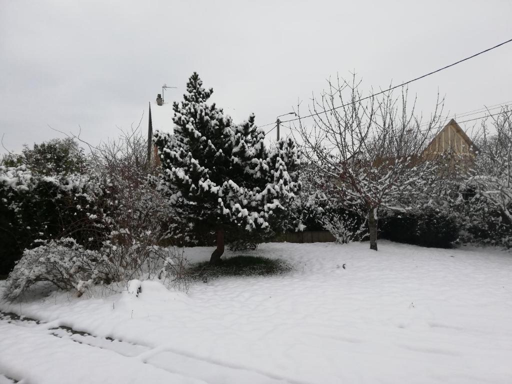 14 Rue le Menestrel photo 2