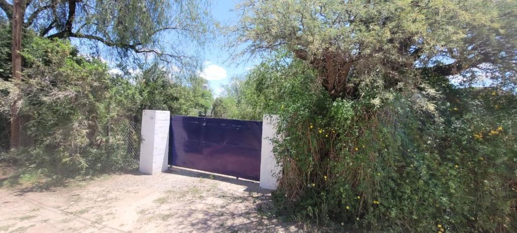 Casa del Río, privacidad, monte y paz photo 1
