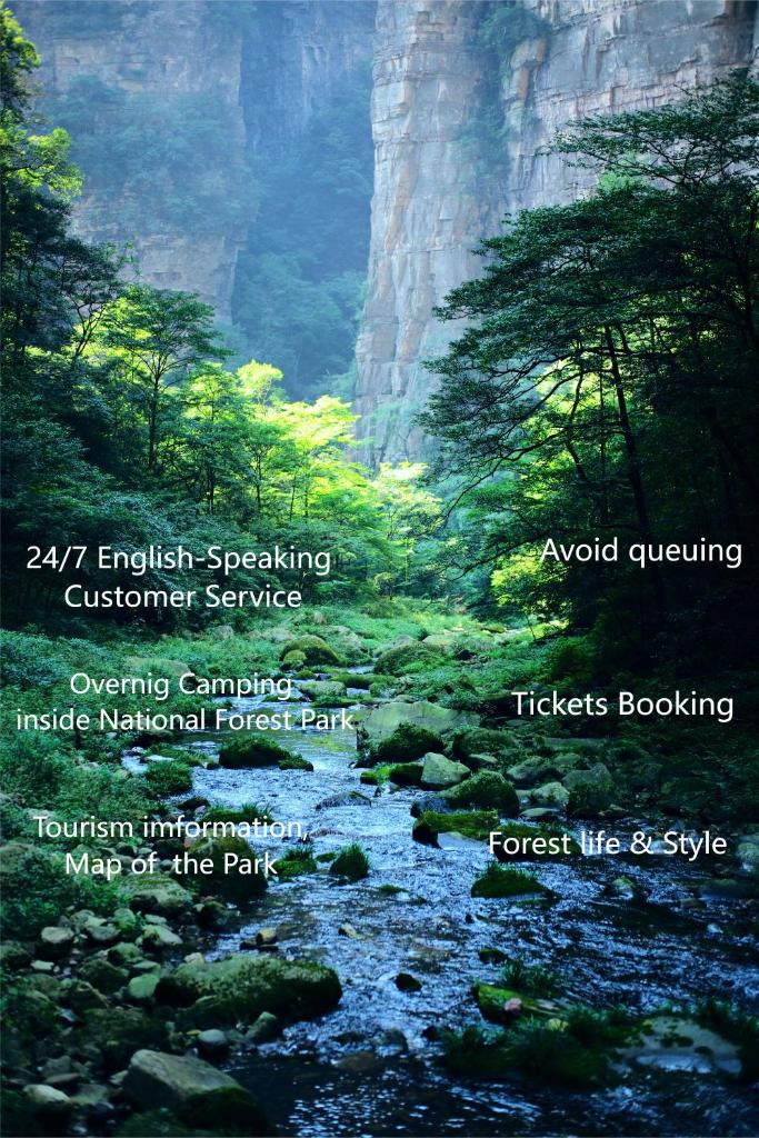 Zhangjiajie National Forest Park Camping photo 3