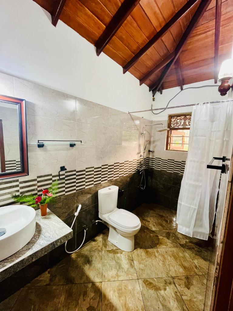 Villa Roy Bentota photo 3