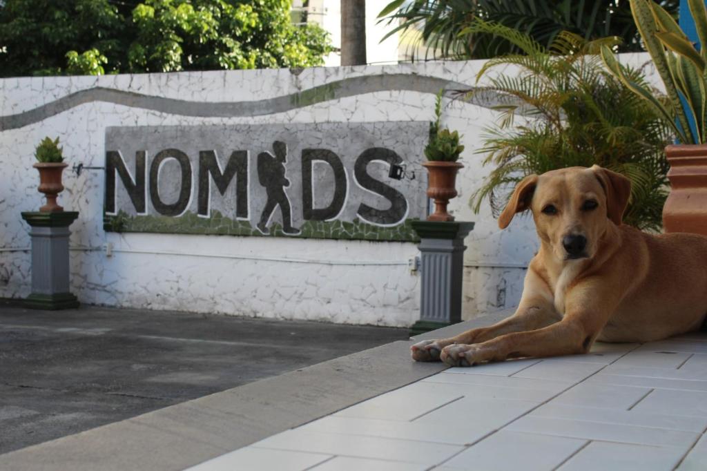 Nomads Hostel Multicultural & Coworking photo 3