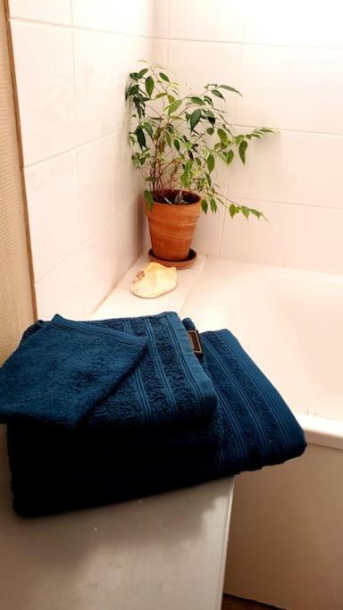 Simplicité et calme en appartement à Issoire photo 1