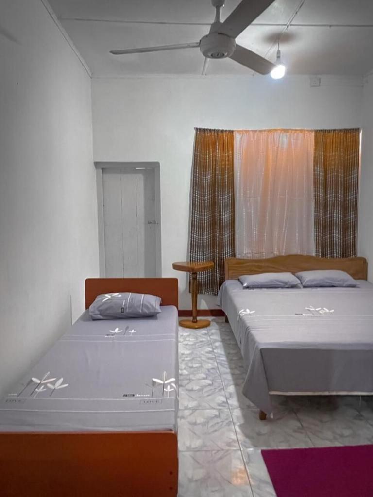 Amila Guest photo 1
