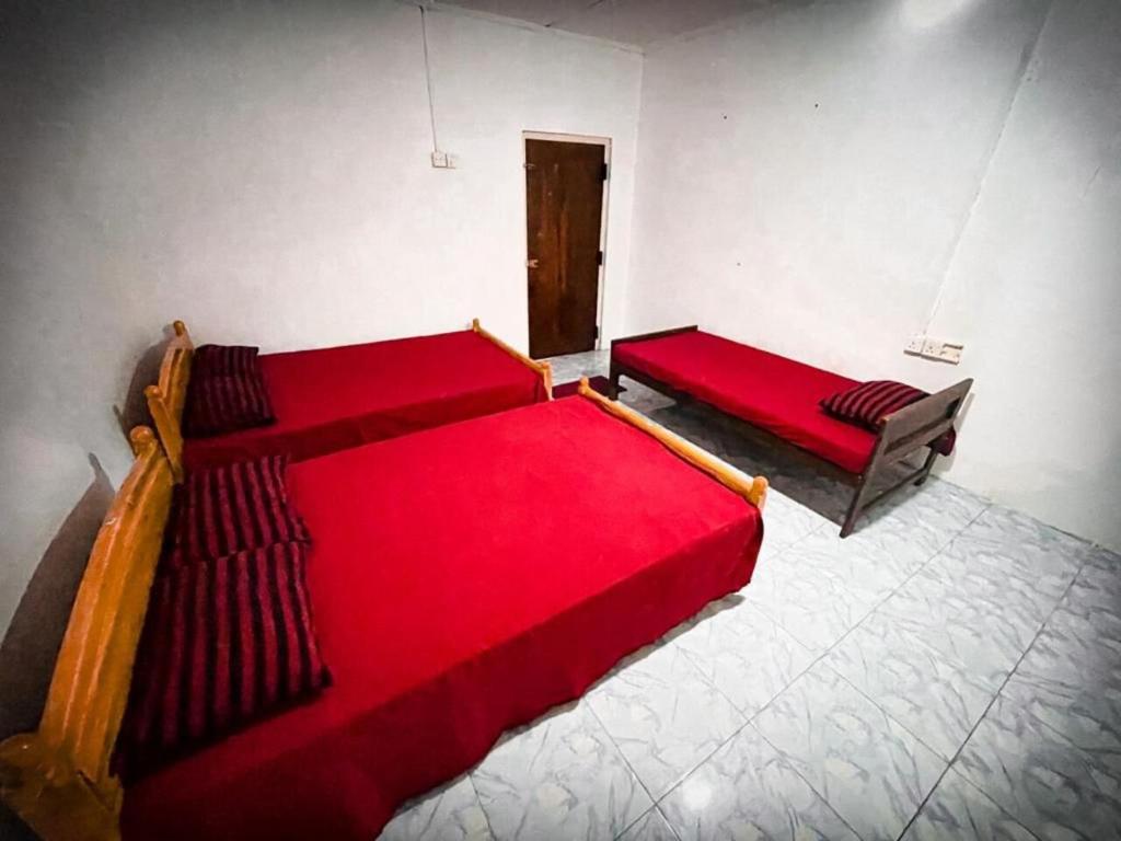 Amila Guest photo 2