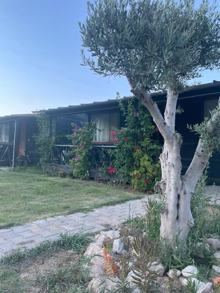 Yıldız Bungalow ve Çadır photo 4
