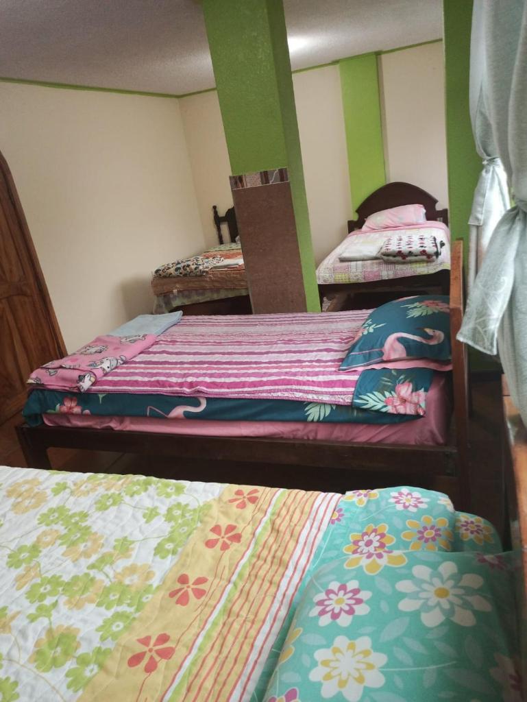 MI CASITA VERDE photo 2