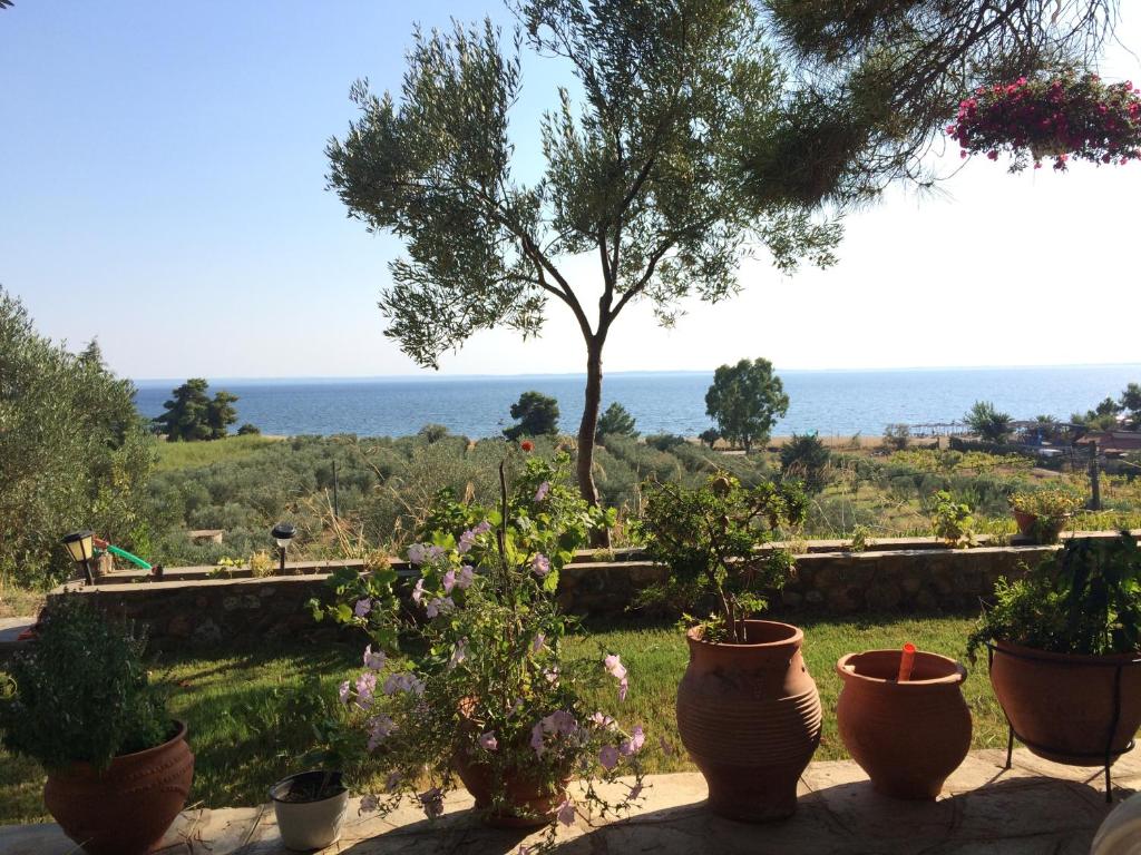 Kostas House photo 2