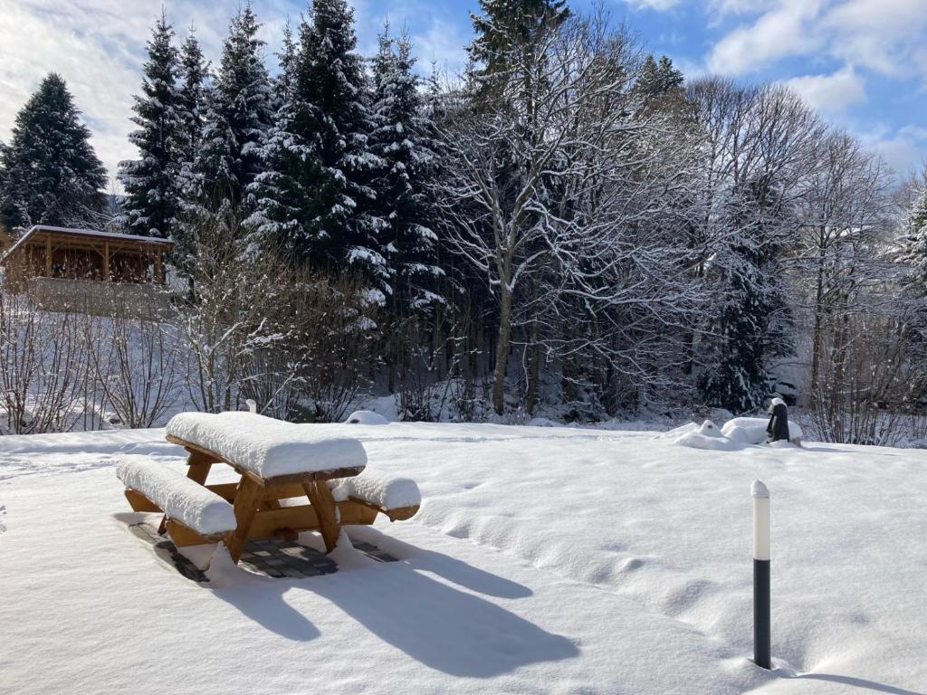 La cabane des écureuils photo 4