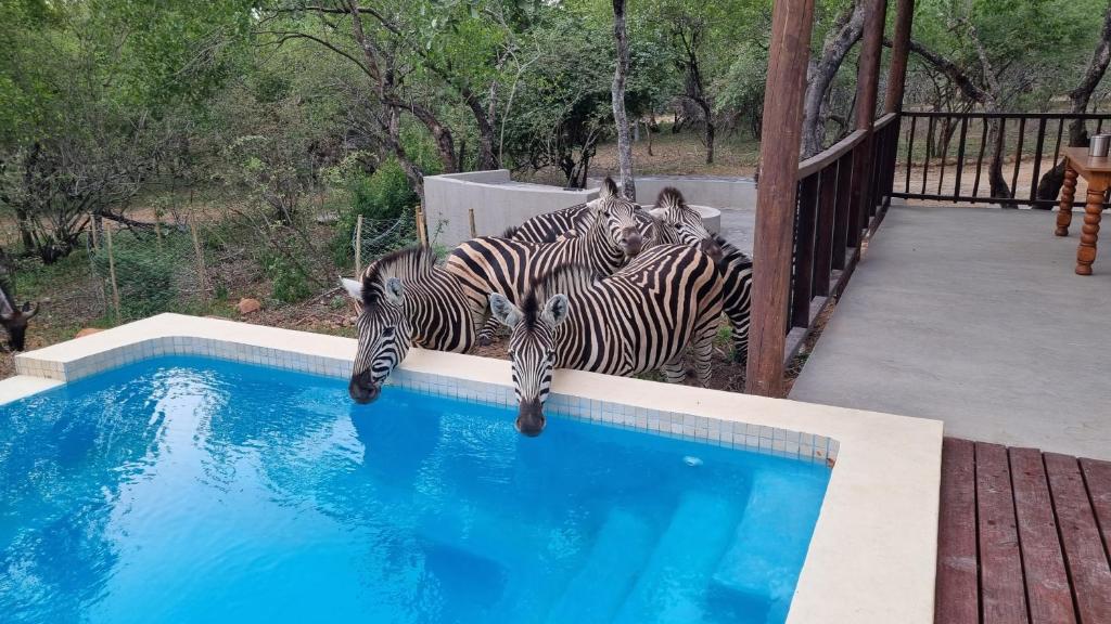Greater Kruger View - Luxury Bush Villa photo 2