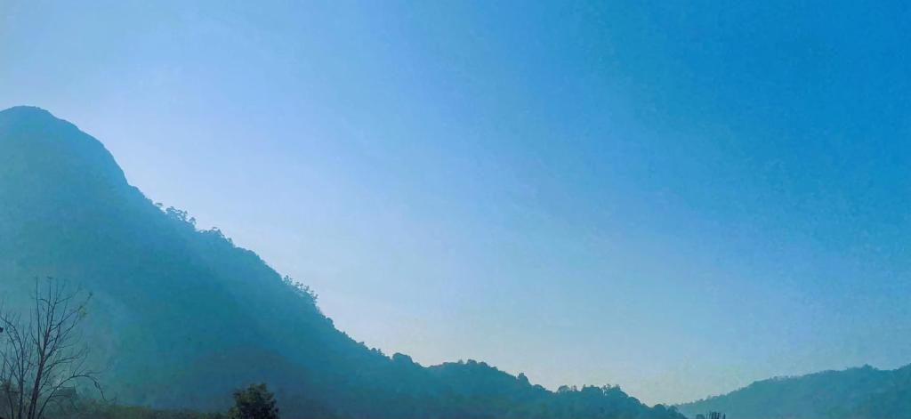 7s Castle Mountain View Homestay photo 3
