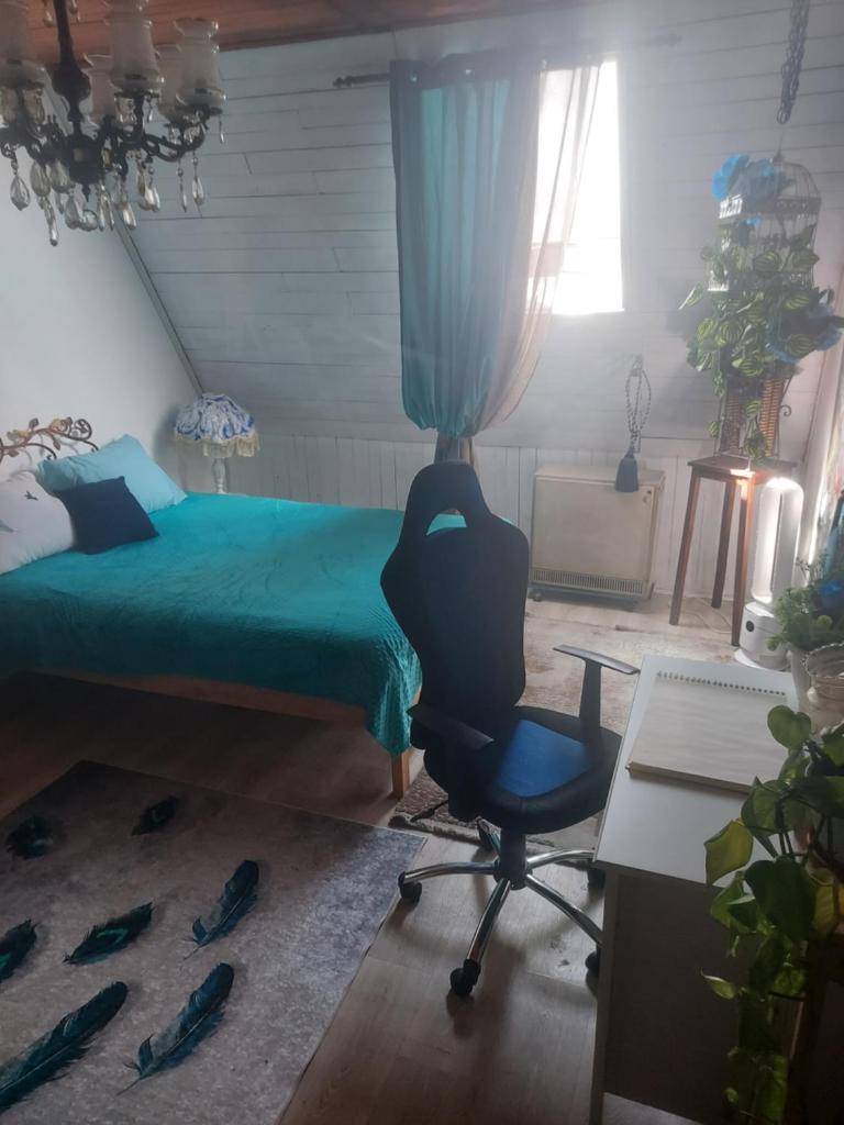 Peacock room