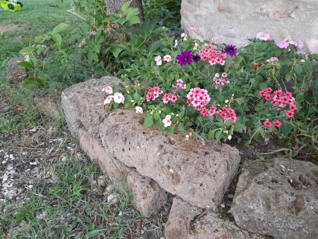 Casa Montesel photo 1