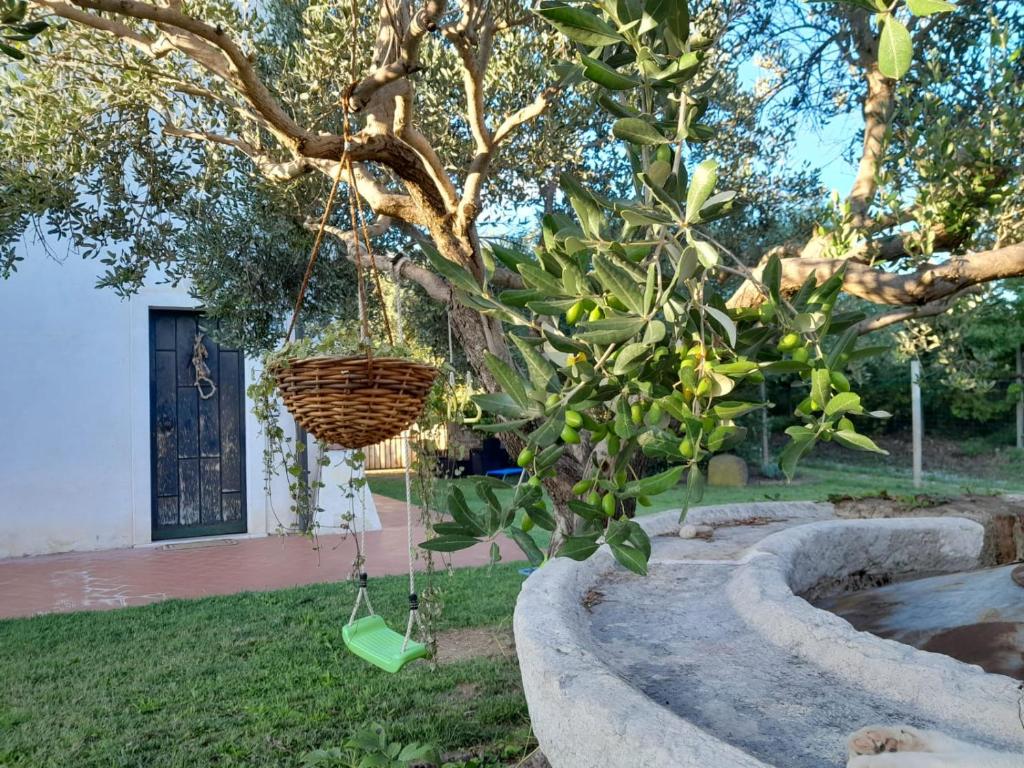 Casa Montesel photo 2