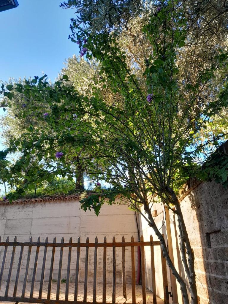 Casa Montesel photo 3