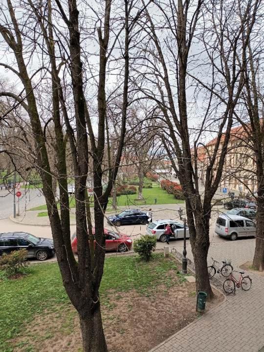 Apartament ANA photo 3