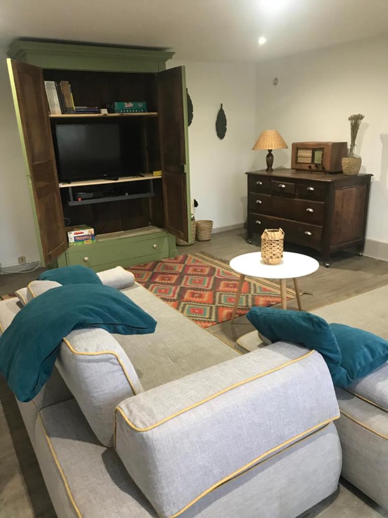 Duplex cosy LES SAULES photo 4