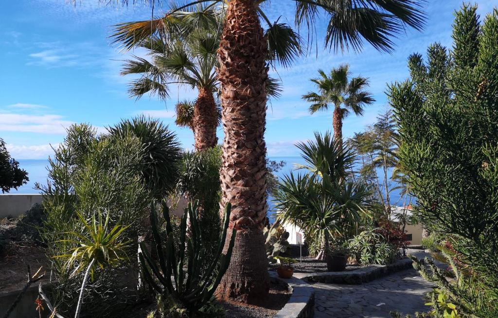 Bungalow Moijama el Drago photo 1