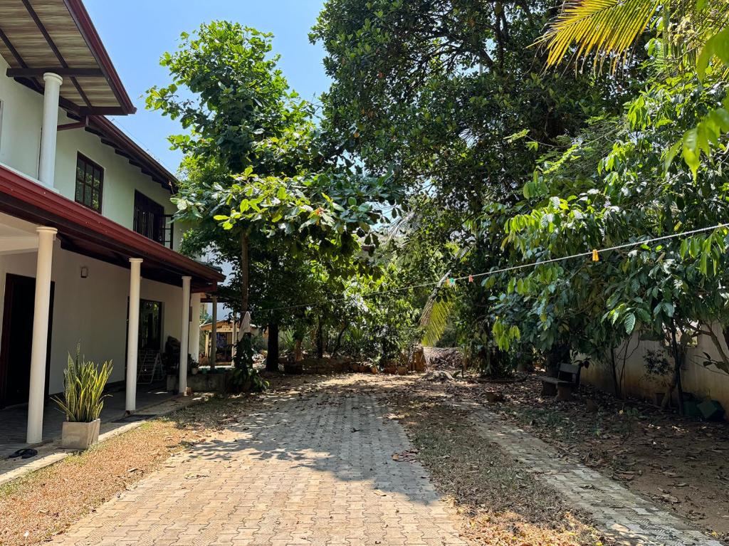 Dae Farm Resort photo 4