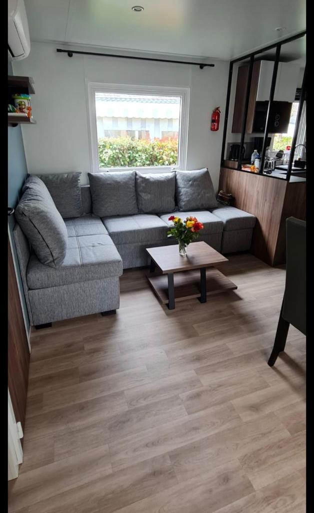 Mobil home neuf 693 à la réserve 8 personnes avec terrasse couverte photo 3