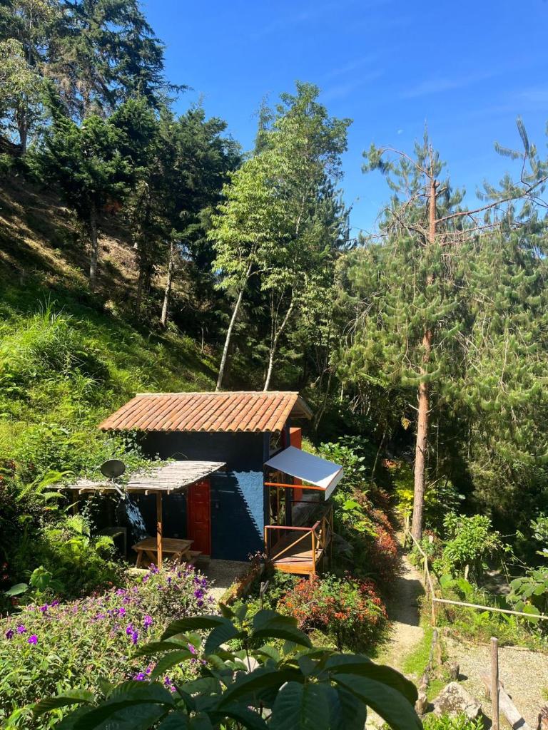 Finca Montmagica