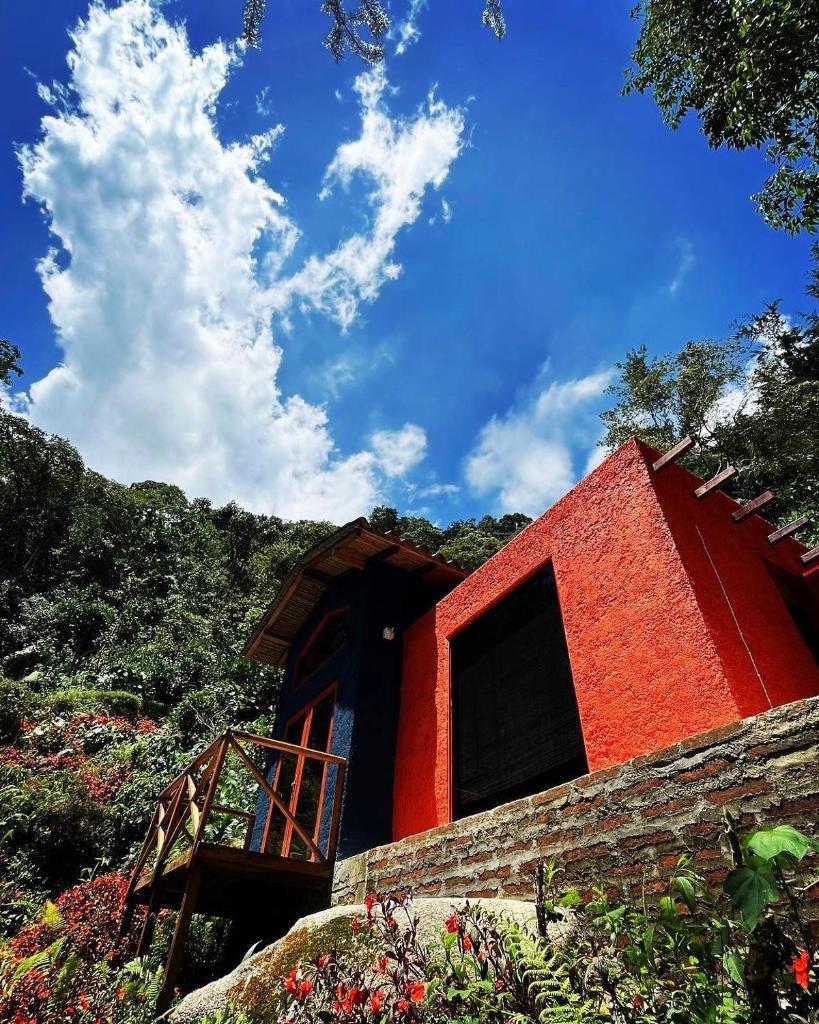 Finca Montmagica photo 4