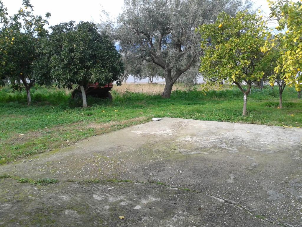 VILLA DINA photo 2